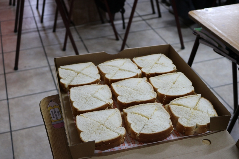 Día de la Actividad Física